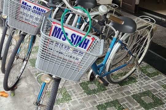 Three bicycles with Ms. Sinh signs in baskets parked on a sidewalk in Hoi An beside a building with lush plants.
