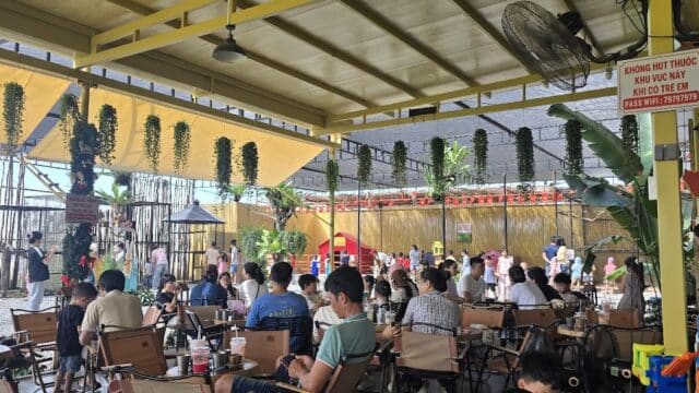 Nấm Cafe PET - Attractions & Sights in Old Town, Hoi An