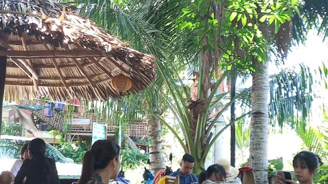 Rung Dua Phap Tran - Boat Tours in Cam Thanh, Hoi An