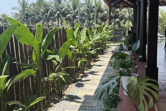 A sunny walkway with stone steps, green plants, and a tiled patio evokes the charm of Hoi An next to a wooden fence and palm trees.