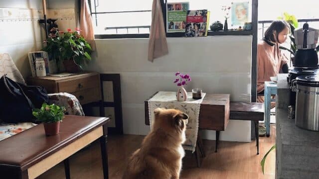 Station Hidden Bar - Cafes & Coffee in Old Town, Hoi An