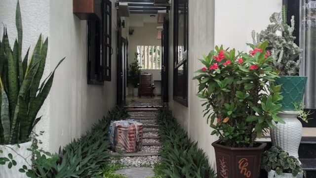 Succulent Homestay - Homestays in Old Town, Hoi An