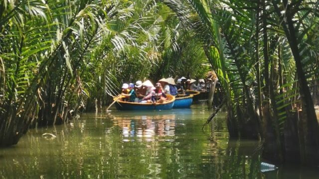 People in round boats paddle through a narrow, lush Hoi An waterway surrounded by tall, green palm trees.